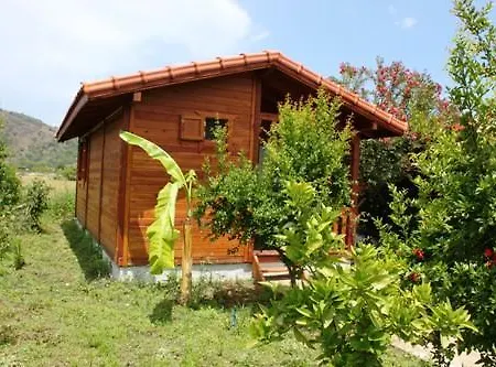 Hemera Butik Séjour chez l'habitant Çıralı
